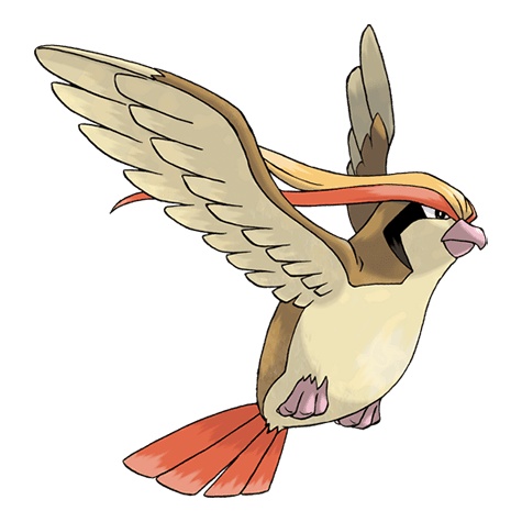 pidgeot