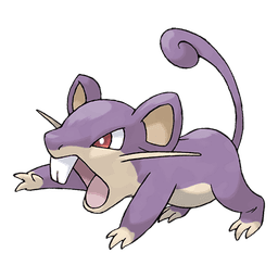 rattata