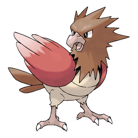 spearow