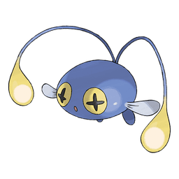 chinchou