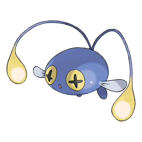 chinchou