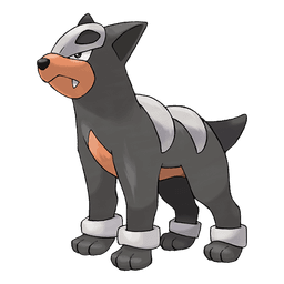 houndour